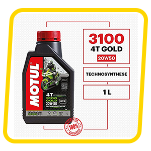 3100 gOLD mOTUL 4t